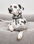 Play bones Senso pebbles
