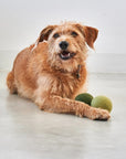 Dog toy Globo Moss