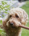 Ramo Sandalwood fetch toy