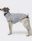 Dog Coat Brooklyn Reflective