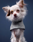 Dog Coat Brooklyn Flannel Grey
