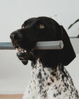 Ramo Slate fetch toy