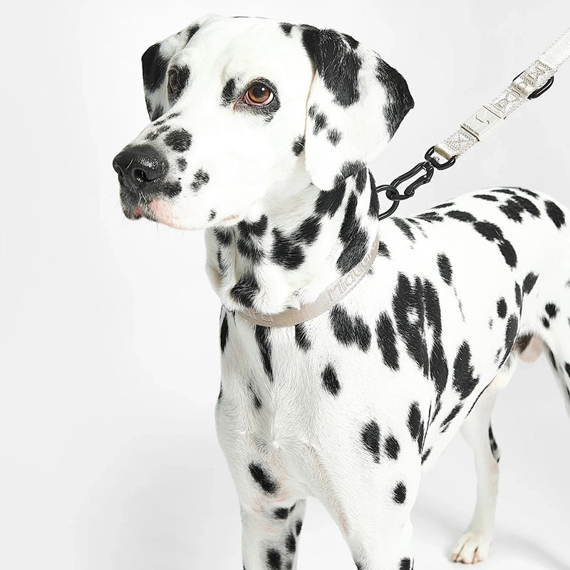 Hundehalsband Modena Greige