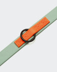 Hundeleine verstellbar BioThane Ipanema Mint-Neon Orange