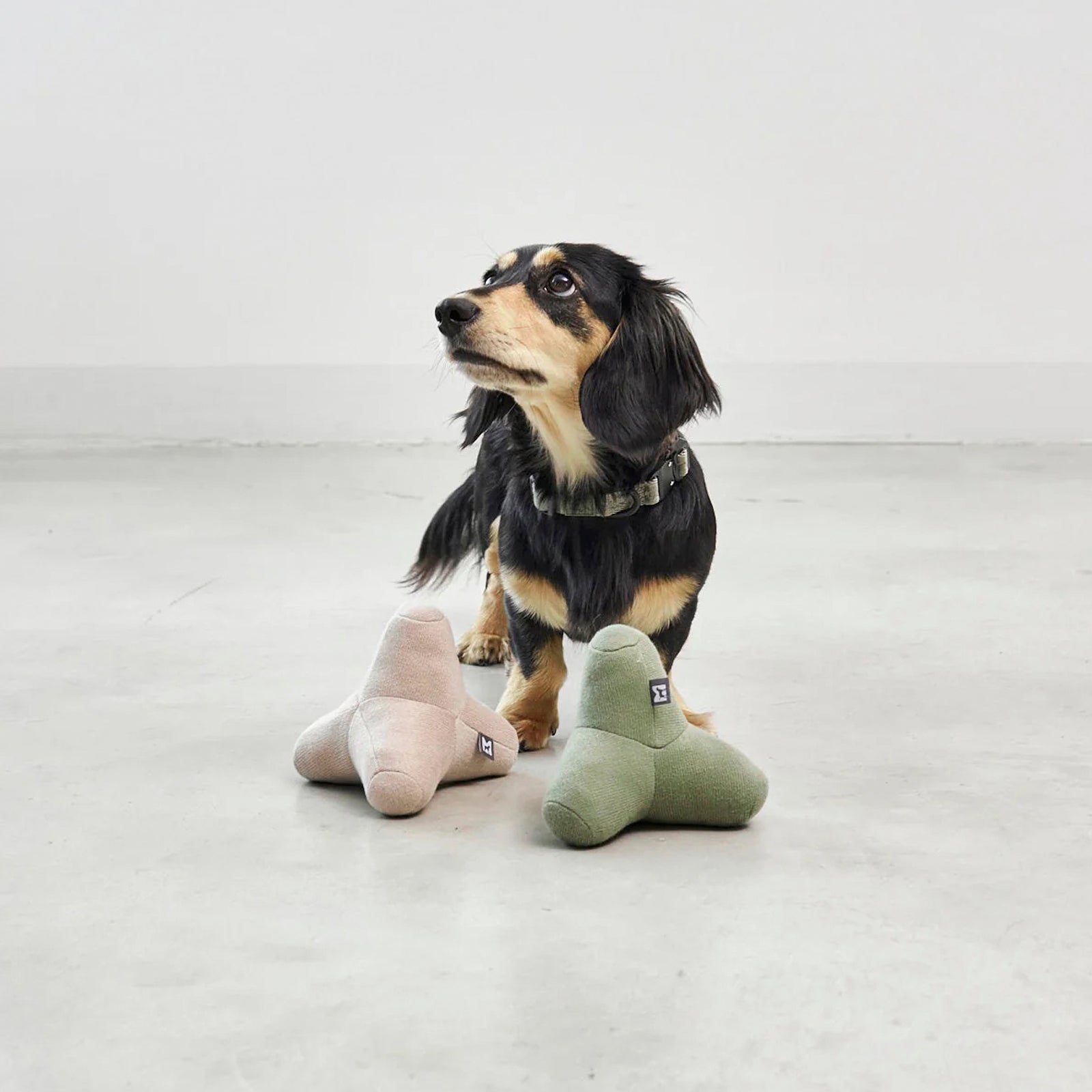 Hundespielzeug Quattro Greige