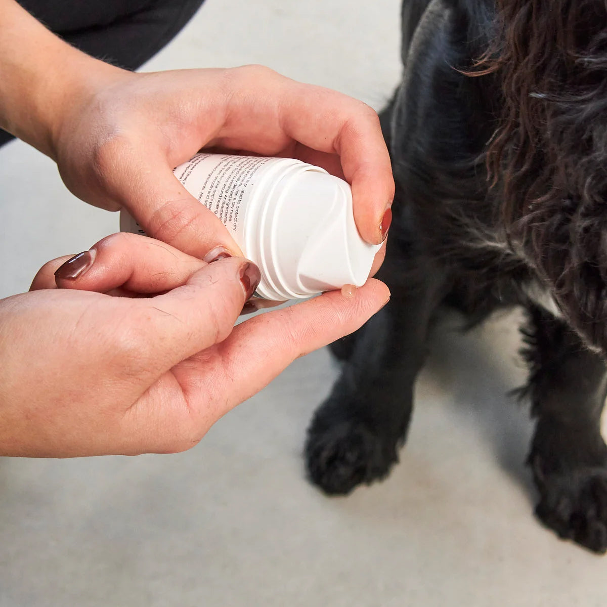 Paw and nose balm Zampa