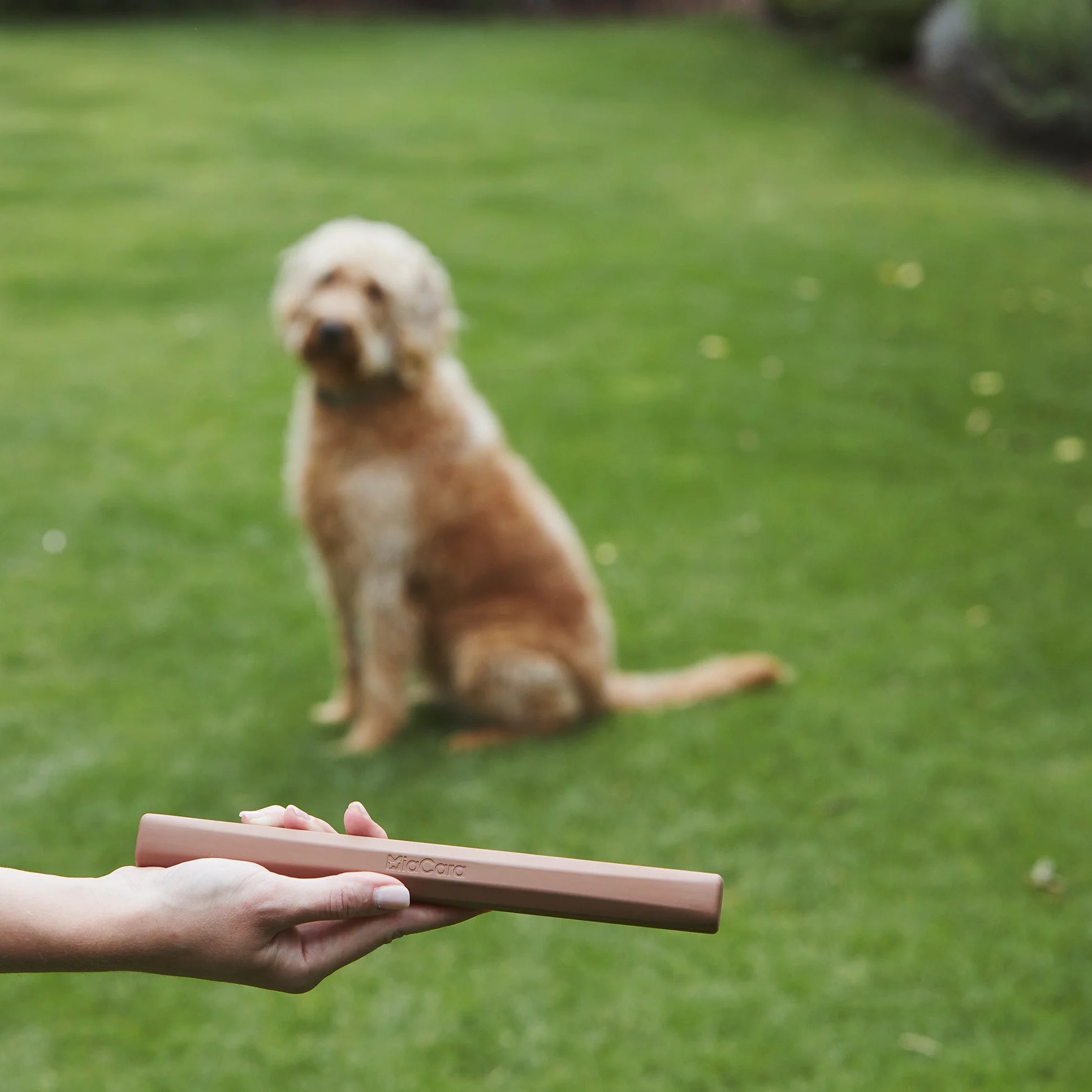 Ramo Sandalwood fetch toy