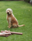 Ramo Sandalwood fetch toy