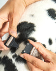 Hundehalsband Modena Greige