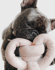 Hundespielzeug Quietscher NouNou