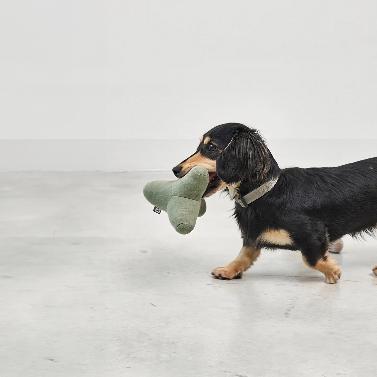 Hundespielzeug Quattro Dusty Green