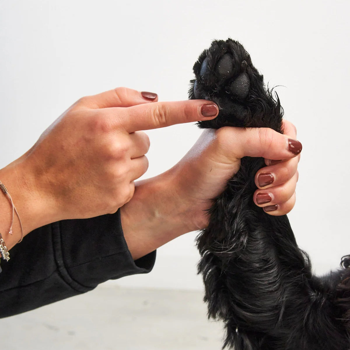 Paw and nose balm Zampa
