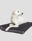 Outdoor Dog Bed Siesta Graphite
