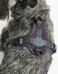 Dog harness Modena Asphalt