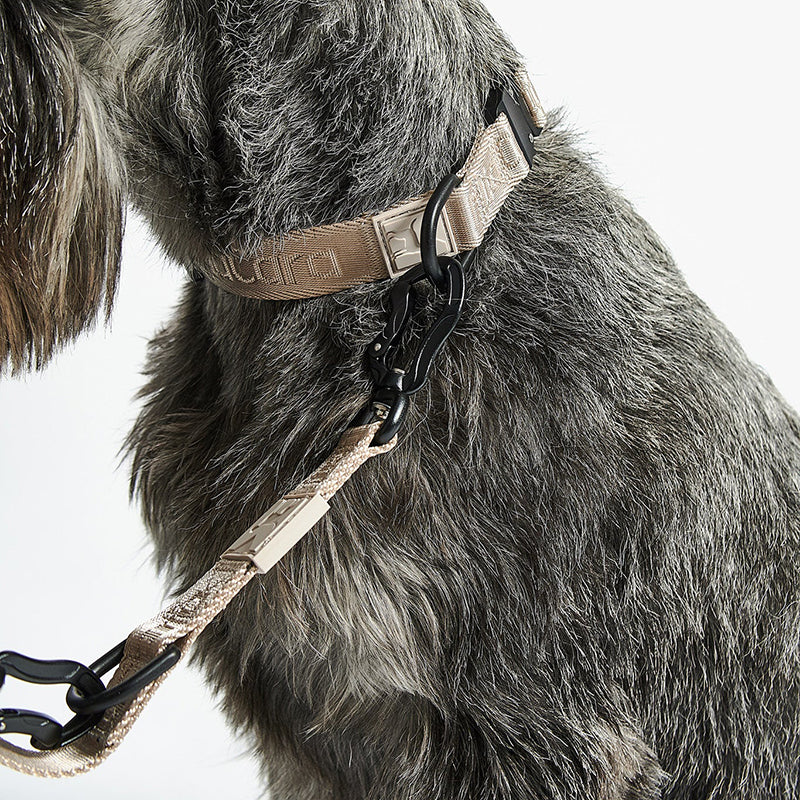 Hundehalsband Modena Greige