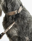 Hundehalsband Modena Greige