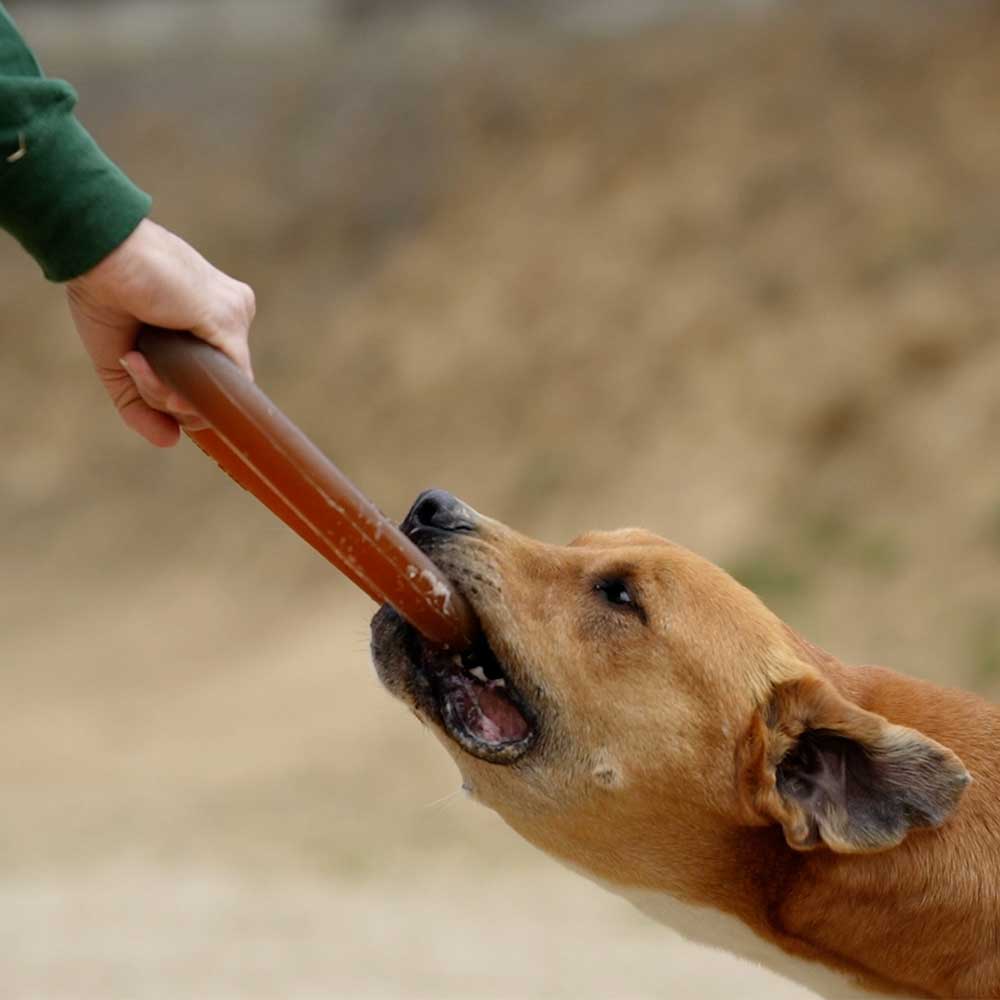 Hundespielzeug Rub Bite Grösse M