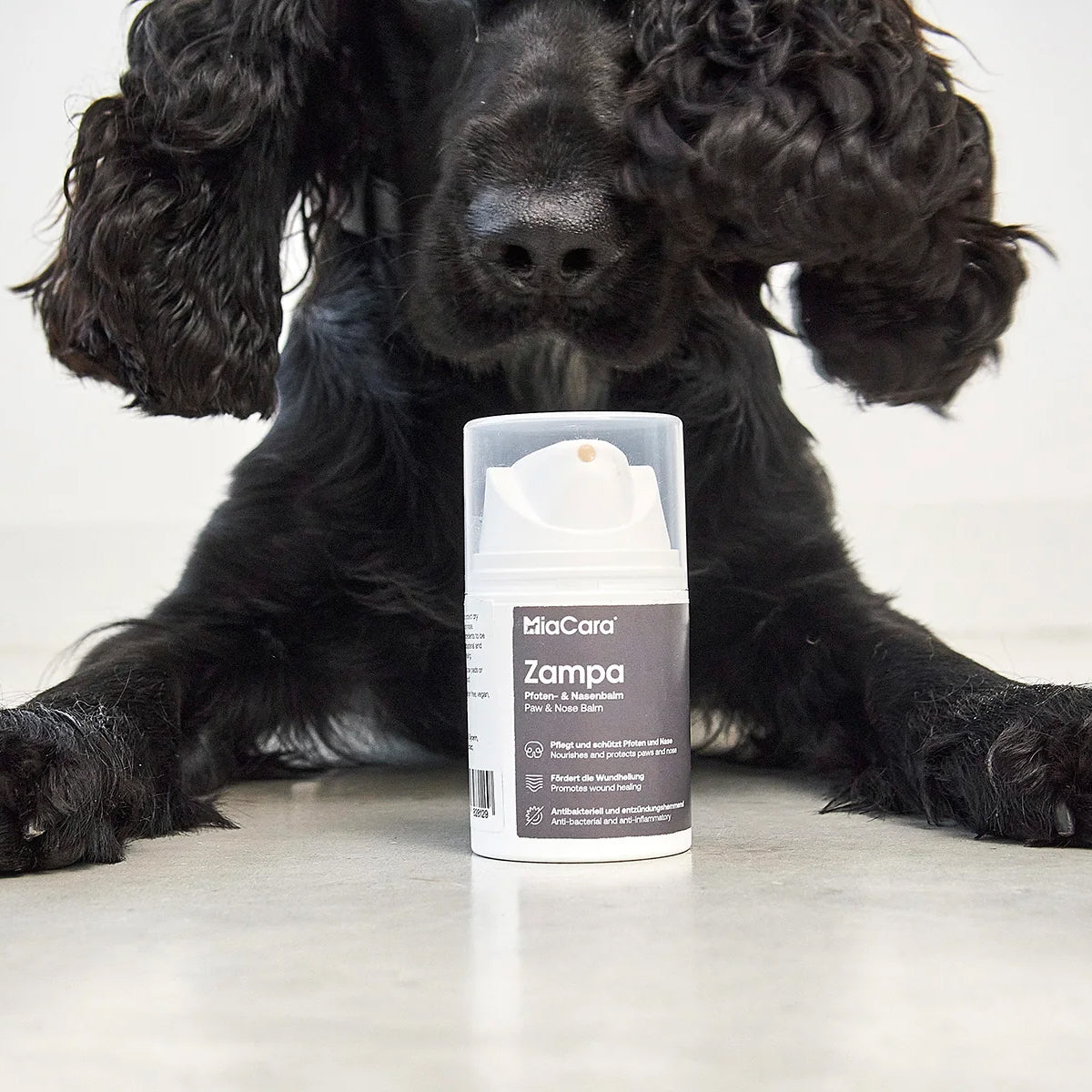 Paw and nose balm Zampa