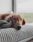 Hundespielzeug Nou Schwarz