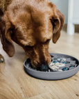 Ne&no® Anti-Schlingnapf / Schleckschale für Hunde & Katzen: Stone Grey
