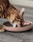 Ne&no® Anti-Schlingnapf / Schleckschale für Hunde & Katzen: Stone Grey