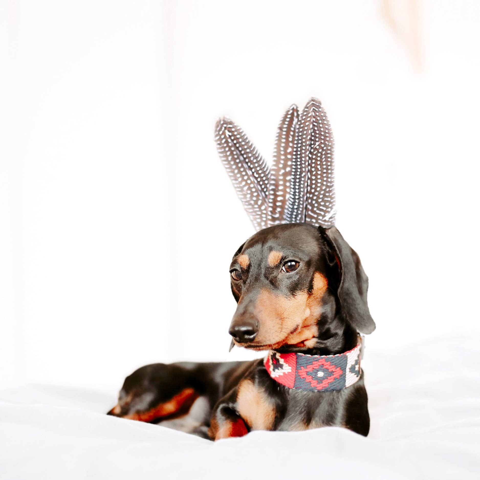 Hundehalsband Peruvian Indian Red