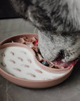 Ne&no® Anti-Schlingnapf / Schleckschale für Hunde & Katzen: Stone Grey