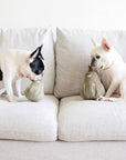 BUTTERNUT//ENRICHMENT HUNDESPIELZEUG: L