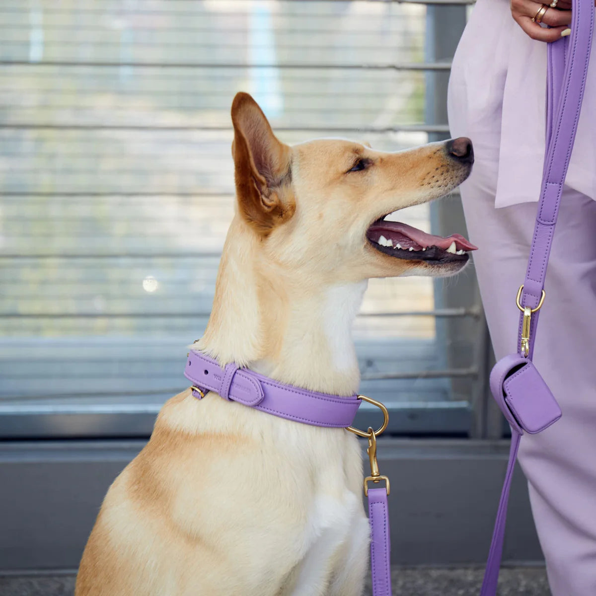 Lavender poop bag dispenser