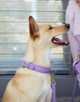 Lavender poop bag dispenser