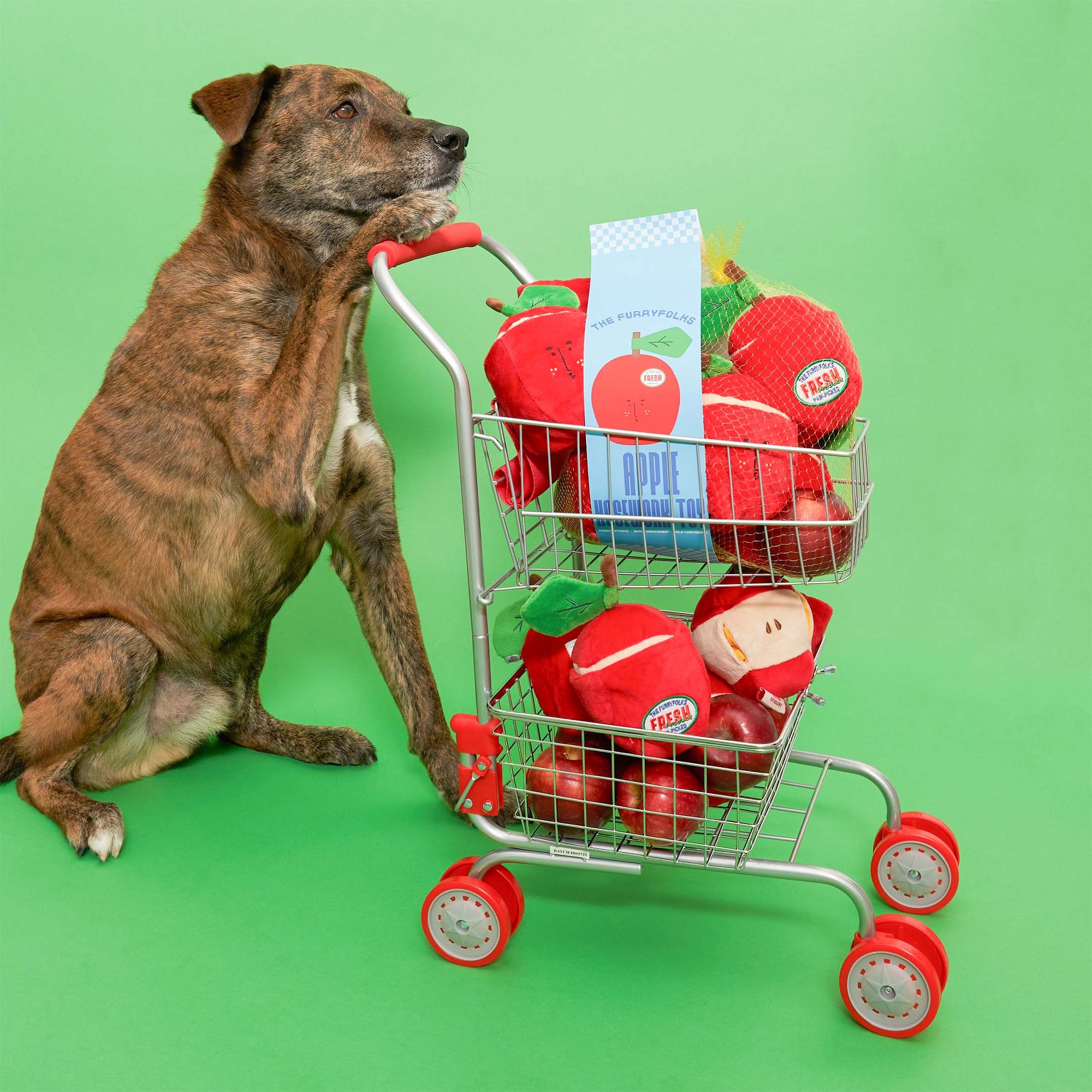 Schnüffelspiel Apple Nosework Hundespielzeug