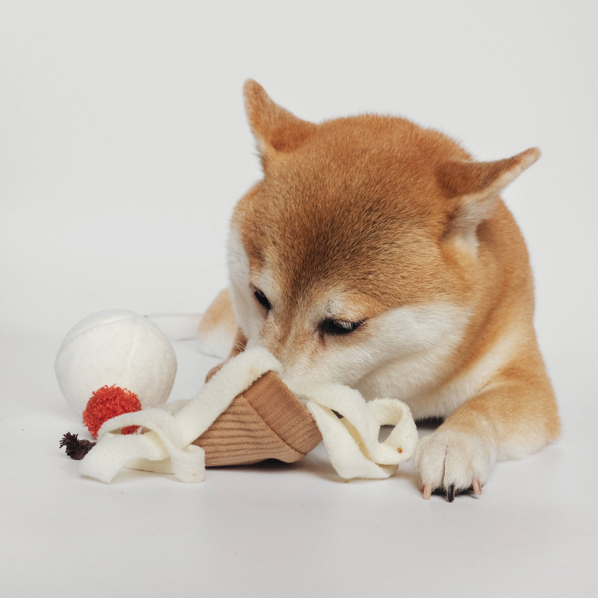 Hundespielzeug Eiscreme Pop