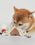 Hundespielzeug Eiscreme Pop