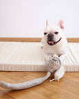Hundespielzeug Schnüffelspiel Schnecke