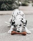 Hundespielzeug Rub Bone Grösse L
