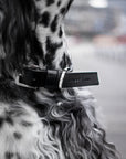 Hundehalsband Kollu black
