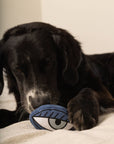 PICASSO//BEREICHERUNGSSPIELZEUG FÜR HUNDE