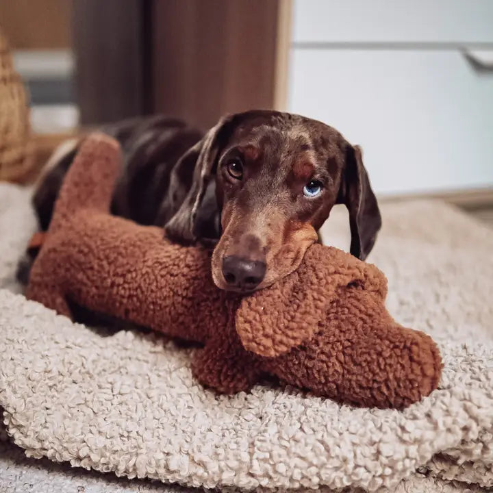 Hundspielzeug Dackel Musch
