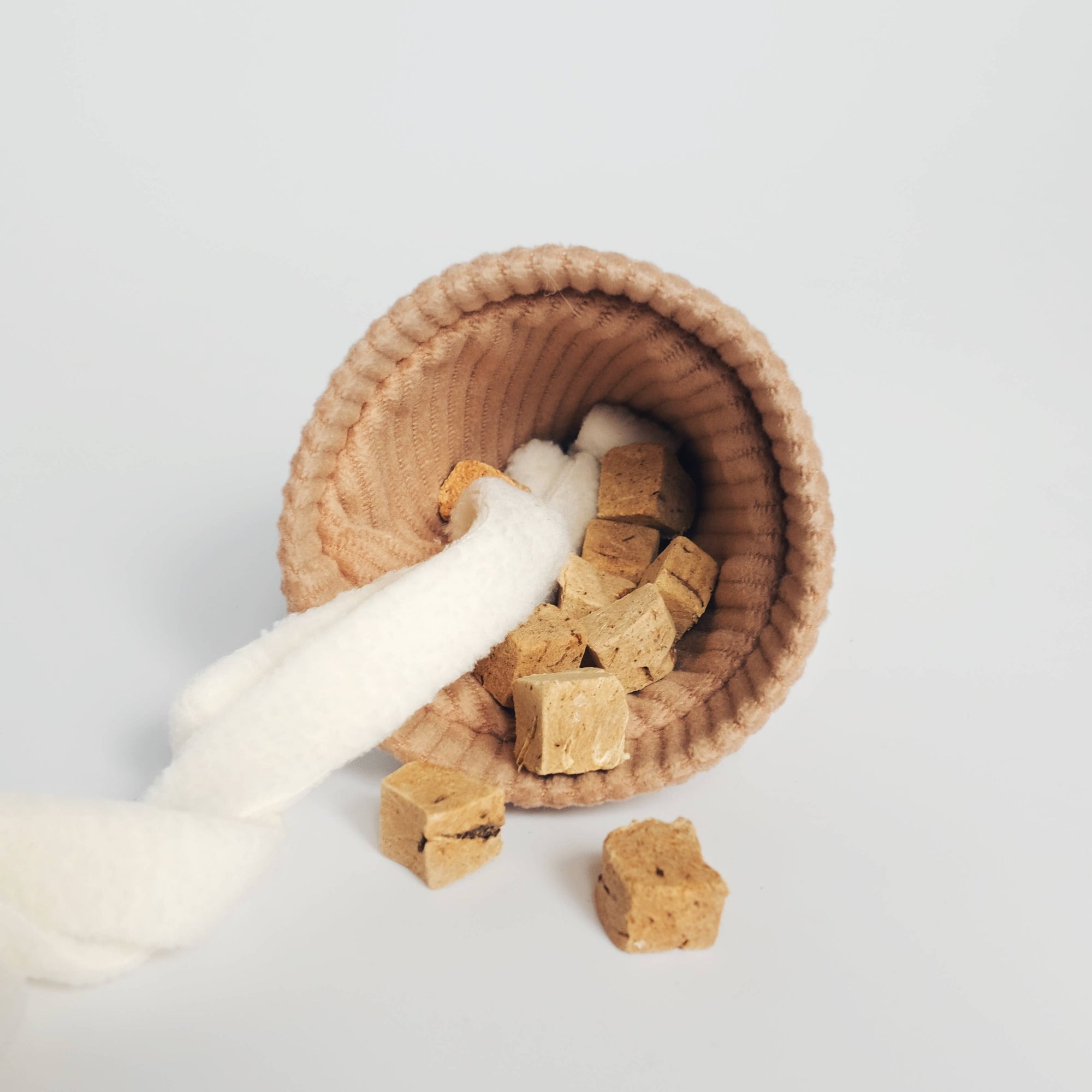 Hundespielzeug Eiscreme Pop