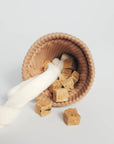 Hundespielzeug Eiscreme Pop