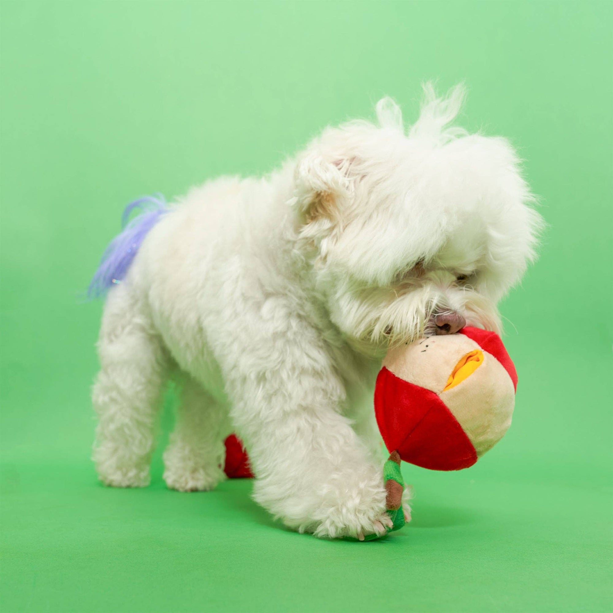 Schnüffelspiel Apple Nosework Hundespielzeug