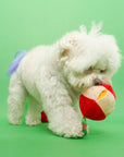 Schnüffelspiel Apple Nosework Hundespielzeug