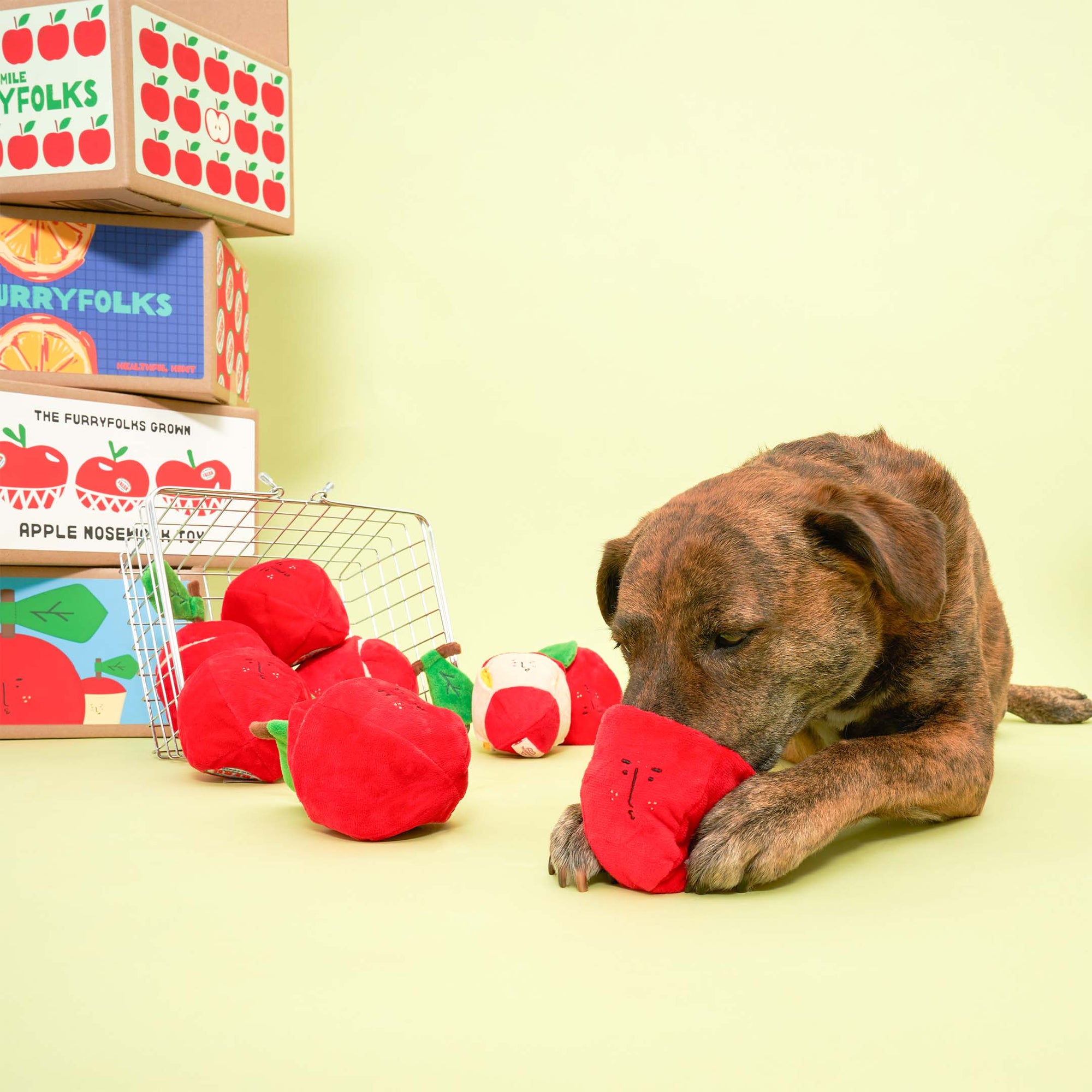 Schnüffelspiel Apple Nosework Hundespielzeug