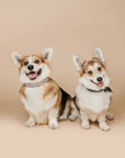 Hundehalsband Capri Beach Day: XL