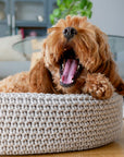 Hundebett Lukko light grey
