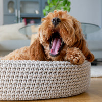 Hundebett Lukko light grey