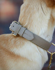 Hundehalsband Sand