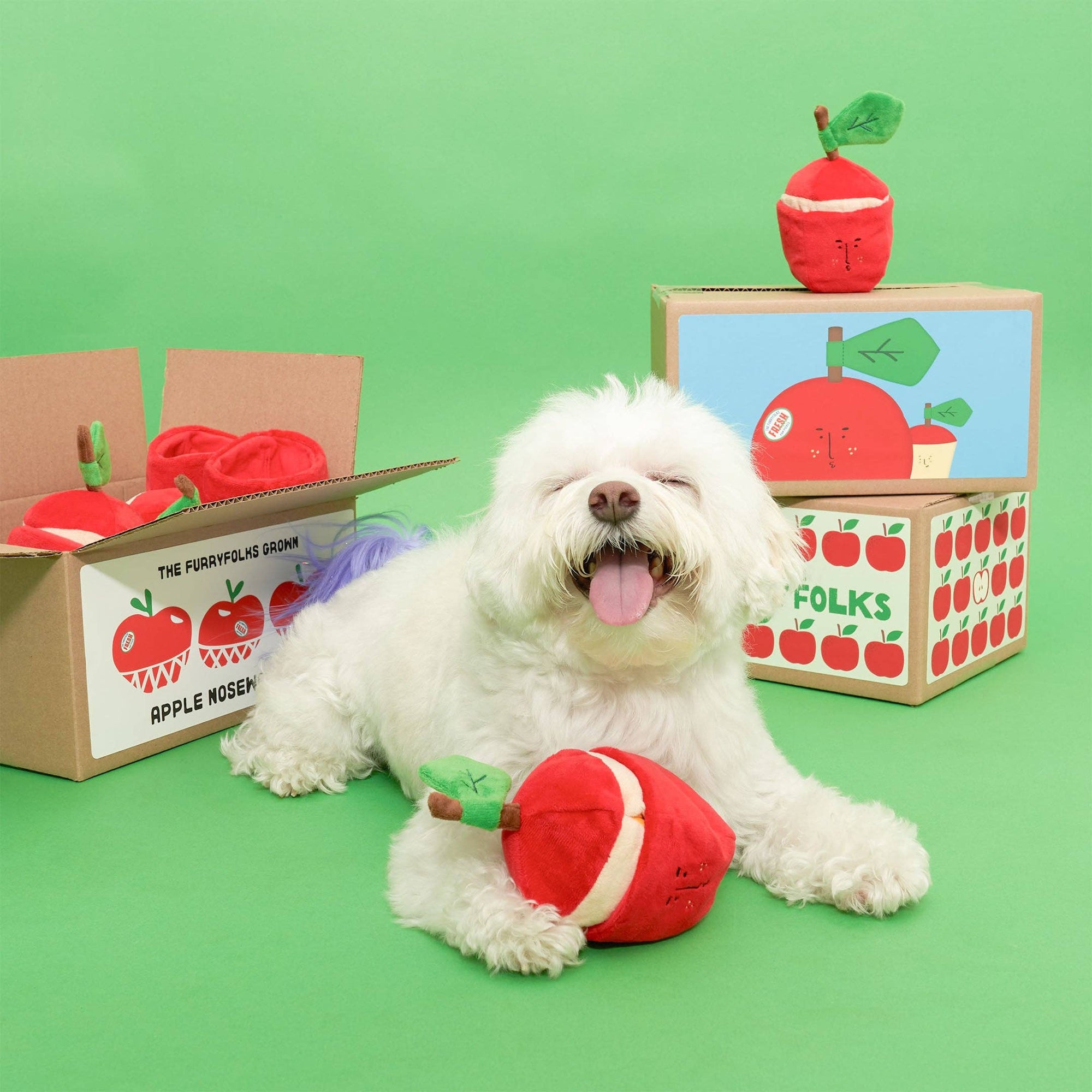 Schnüffelspiel Apple Nosework Hundespielzeug