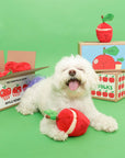 Schnüffelspiel Apple Nosework Hundespielzeug