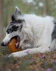 Hundespielzeug Rub Bouncy Grösse S